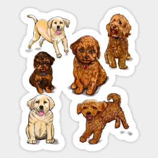 puppy, puppies, lots of puppies! cute cavalier king charles spaniel, Labrador and cavapoochon Sticker